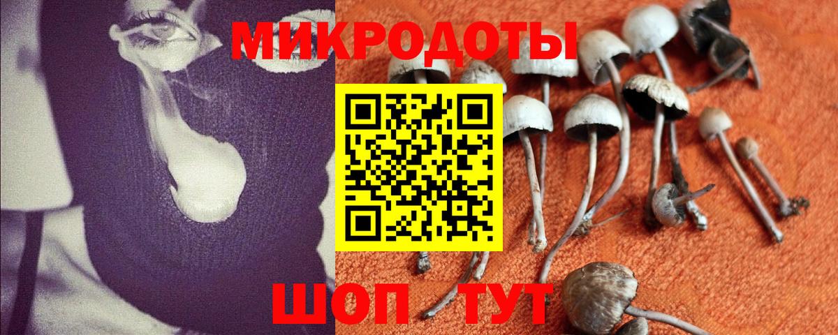 Галлюциногенные грибы MAGIC MUSHROOMS  Вход с VPN  Галлюциногенные грибы Psilocybine cubensis  Ливны 